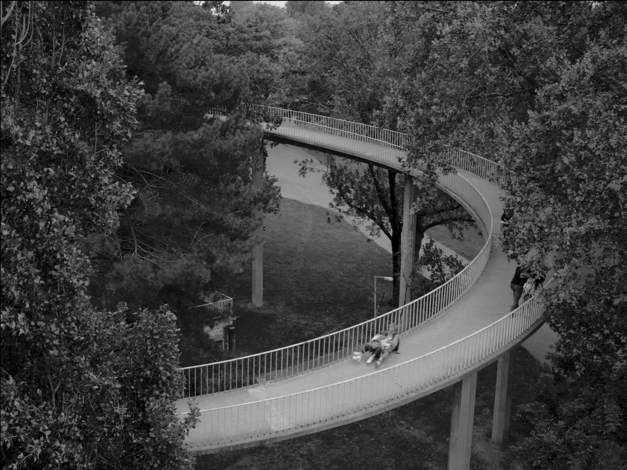 Gallery image of the project swinging