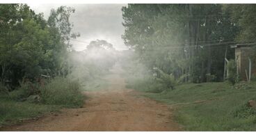 Into the Fog Gallery image of the project Into the Fog