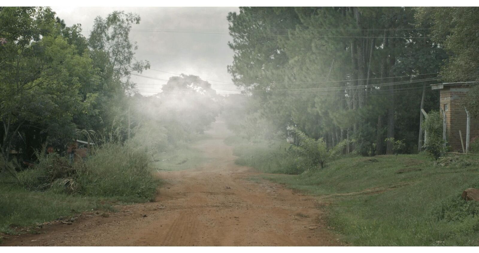 Gallery image of the project Into the Fog