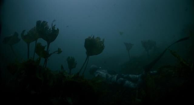 Gallery image of the project Le Métèque