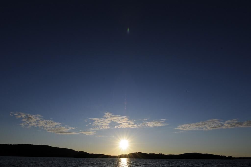 Cover image of the project Perfect Day