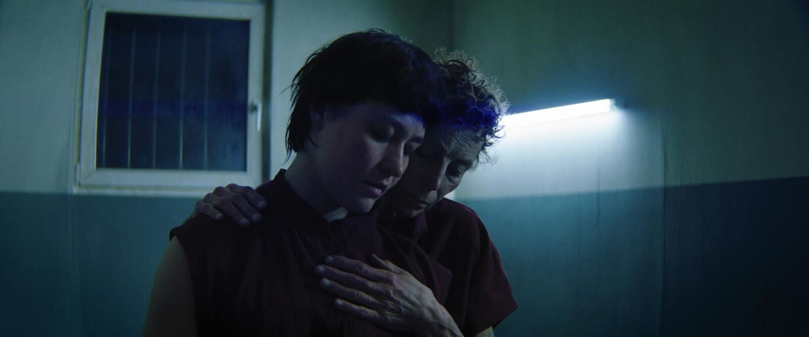 Cover image of the project L