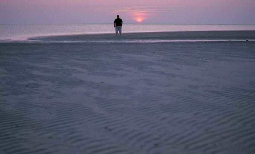 Cover image of the project The Fat Man and the Sea