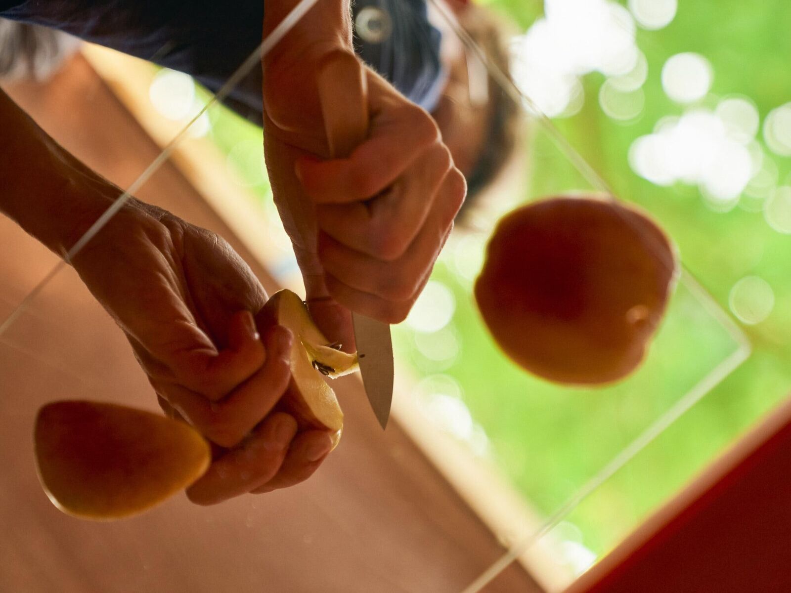 Gallery image of the project No Future Club