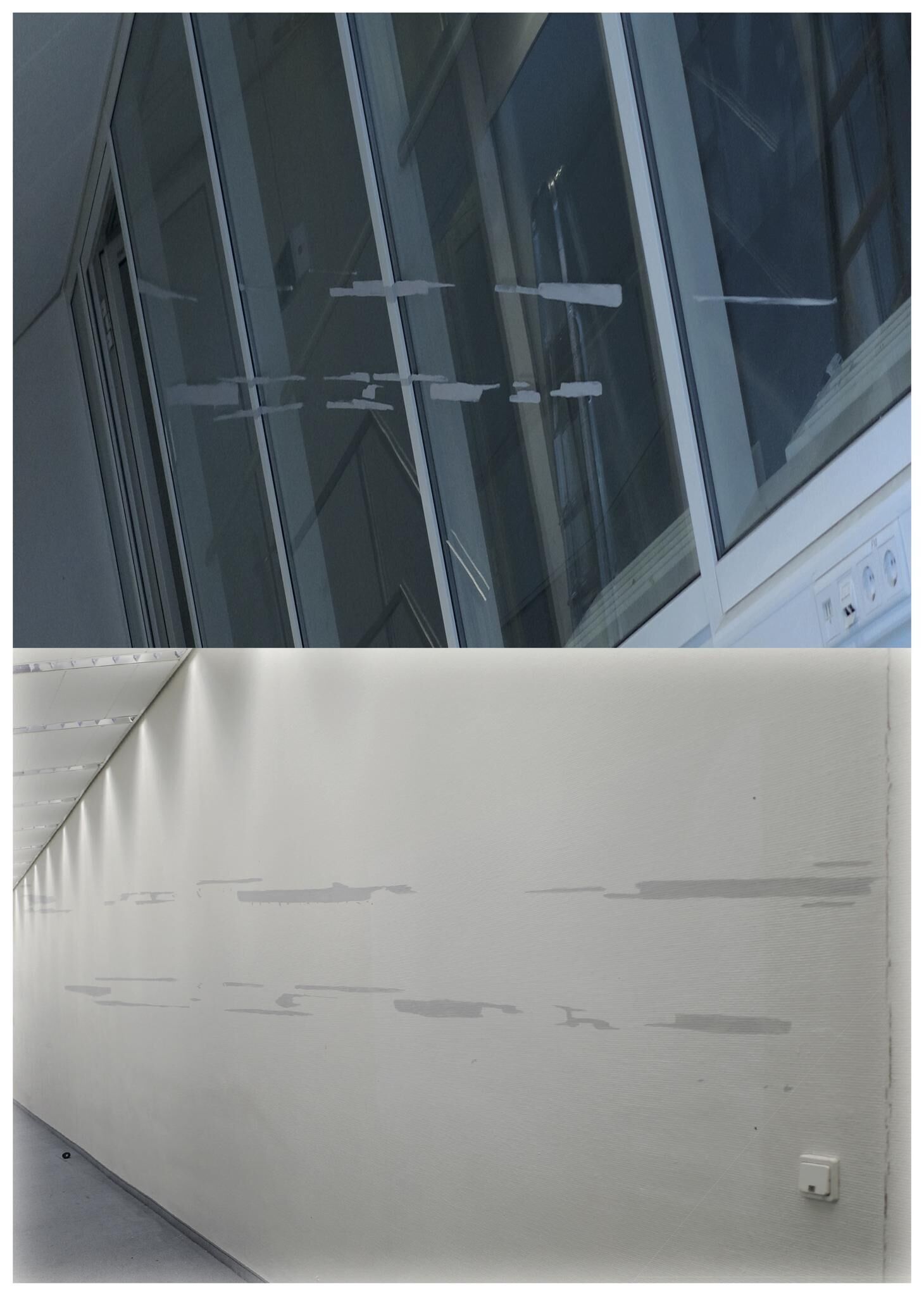 Gallery image of the project FALSE SPRING