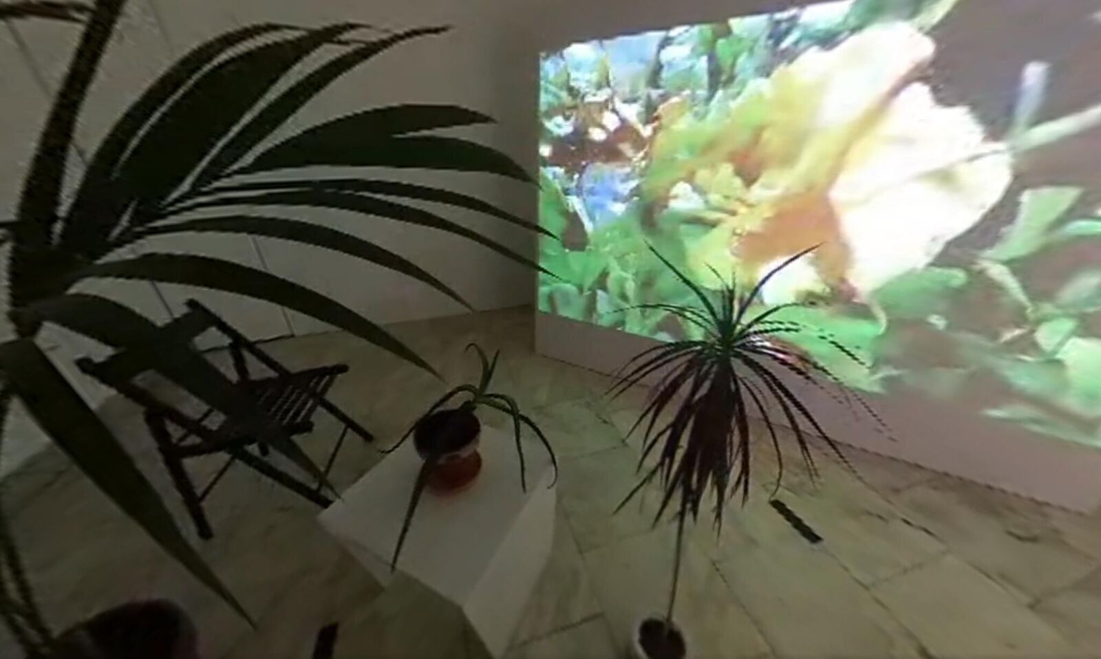 Gallery image of the project Svan/Nectar 