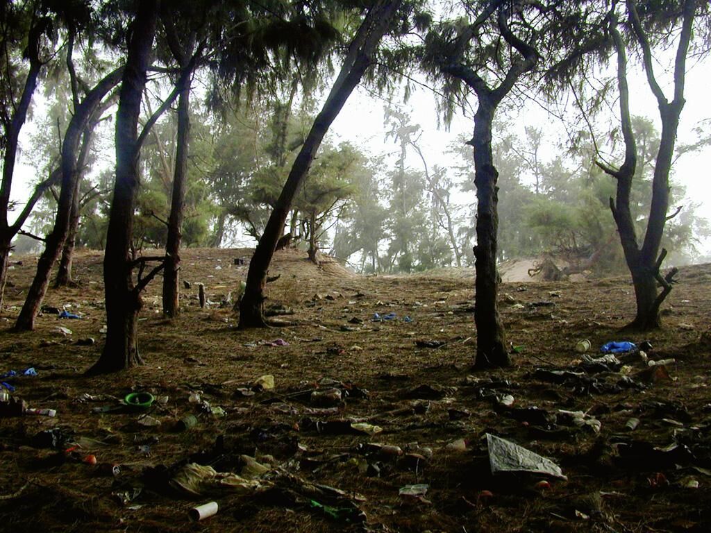 Cover image of the project Trashworld