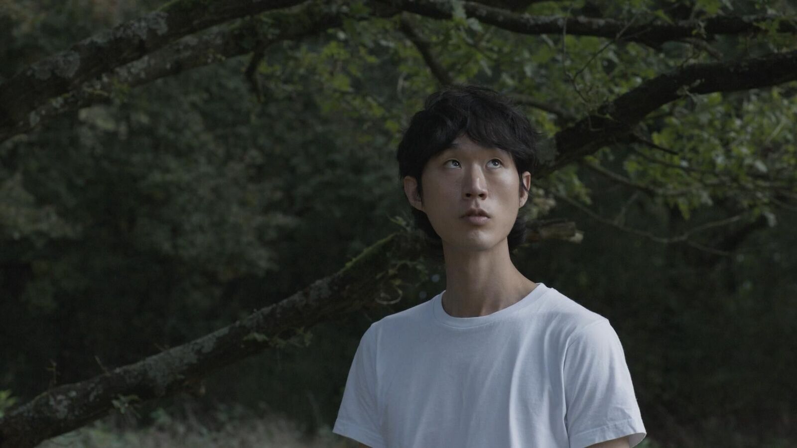 Cover image of the project Warum ist nicht schon alles verschwunden