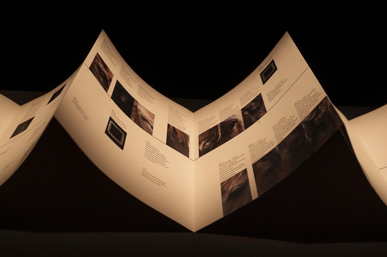 Gallery image of the project «Dann kommen ja die grünen Vögel nicht mehr wieder, wenn die Kastanien weg sind»