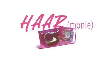 Cover image of the project HAARmonie