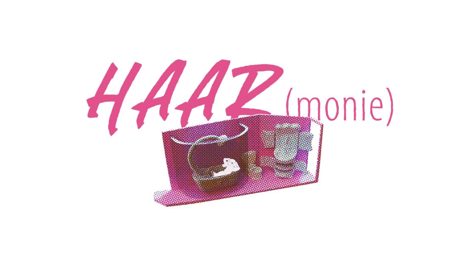 Cover image of the project HAARmonie