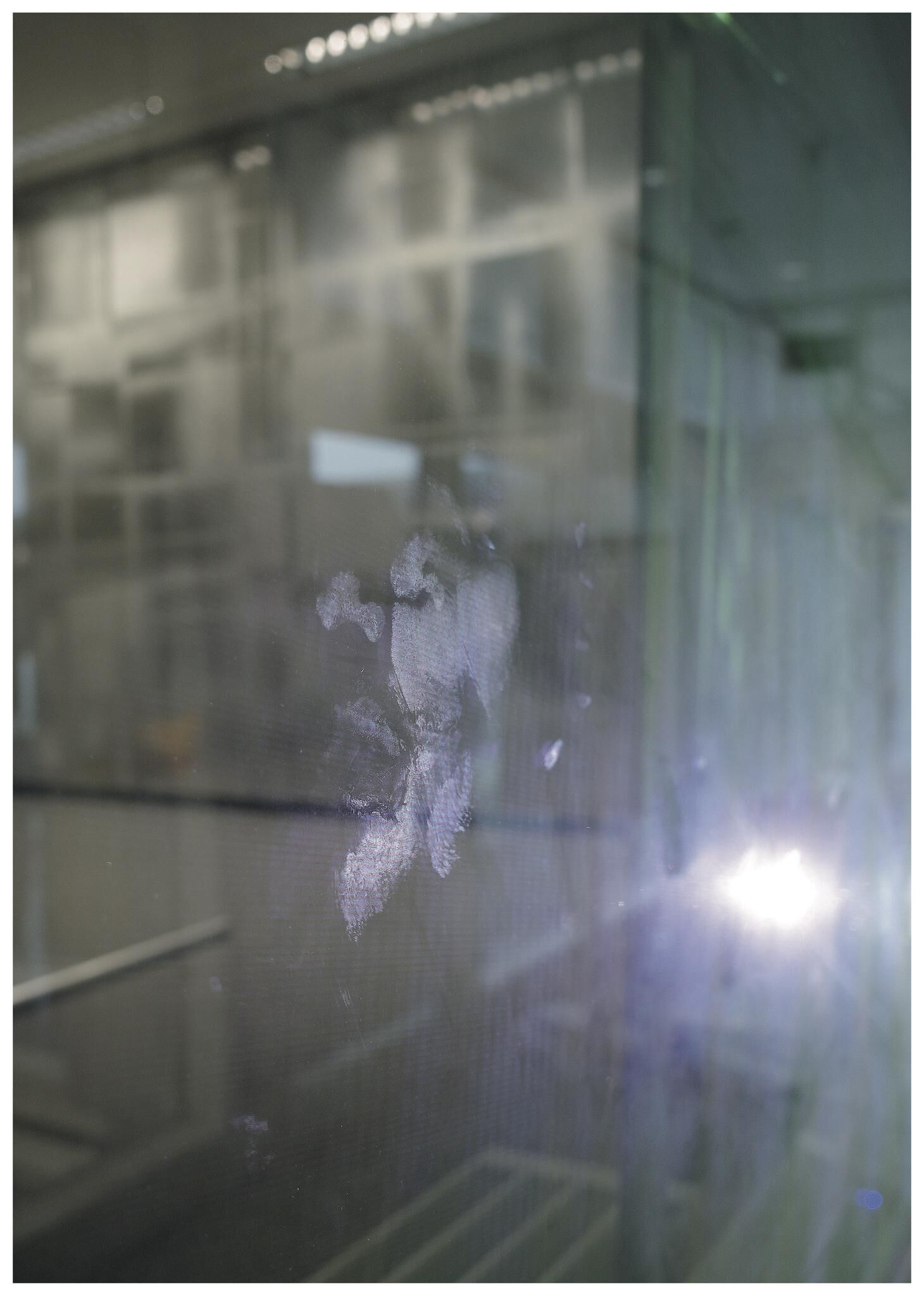 Gallery image of the project FALSE SPRING