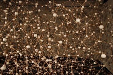 Cover image of the project The rare circumstances of an inertia that distances what i do from what i could have done