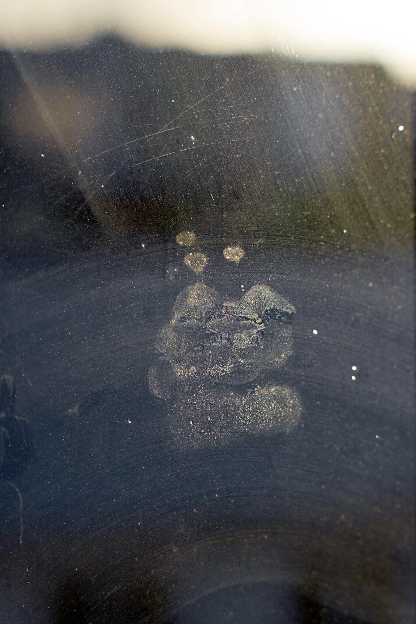 Gallery image of the project Innenleben