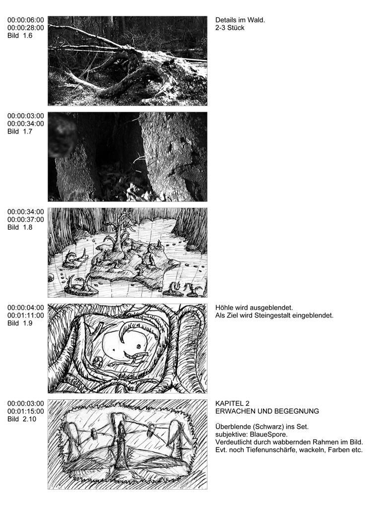 Gallery image of the project Aedis Drehbuch
