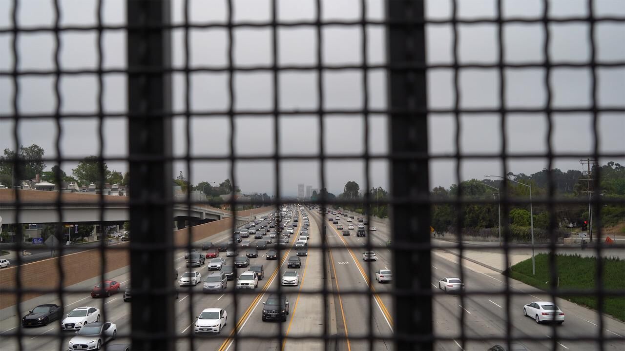 Gallery image of the project The Afterthought of Life