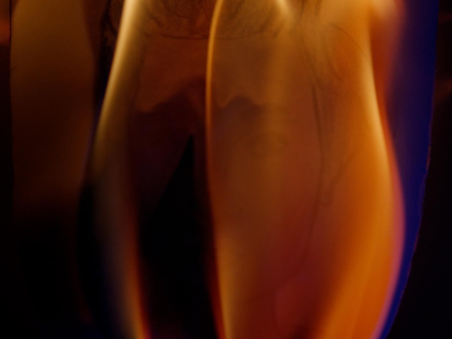 Gallery image of the project Dancing With the Devil