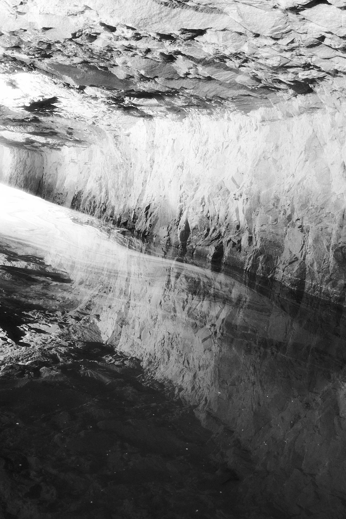 Gallery image of the project Purple Thorn