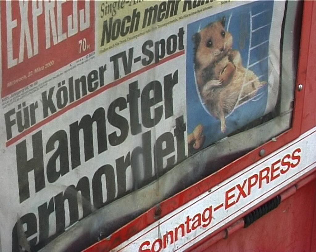 Cover image of the project Pet Job Boy