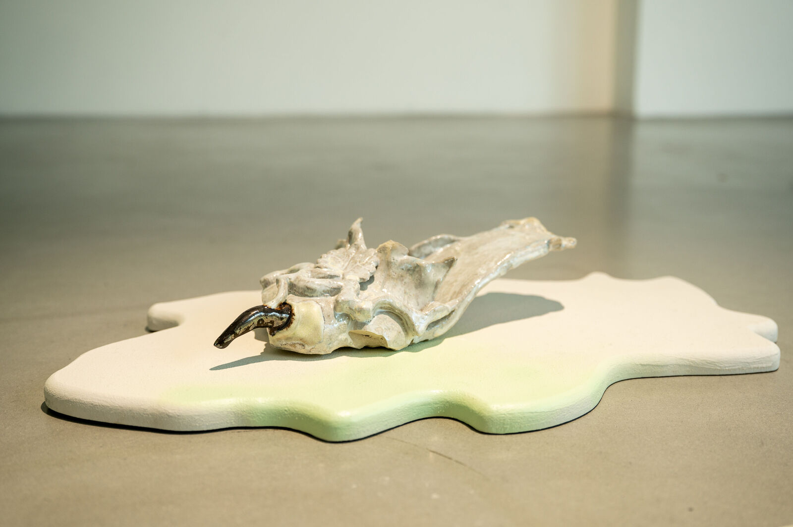 Corinna J. Duschl – Durch Dornen // Through Thorns (Diplom)