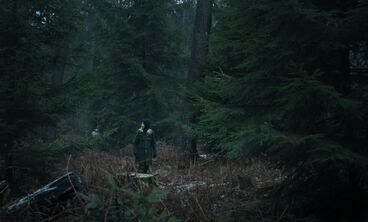 Gallery image of the project M.