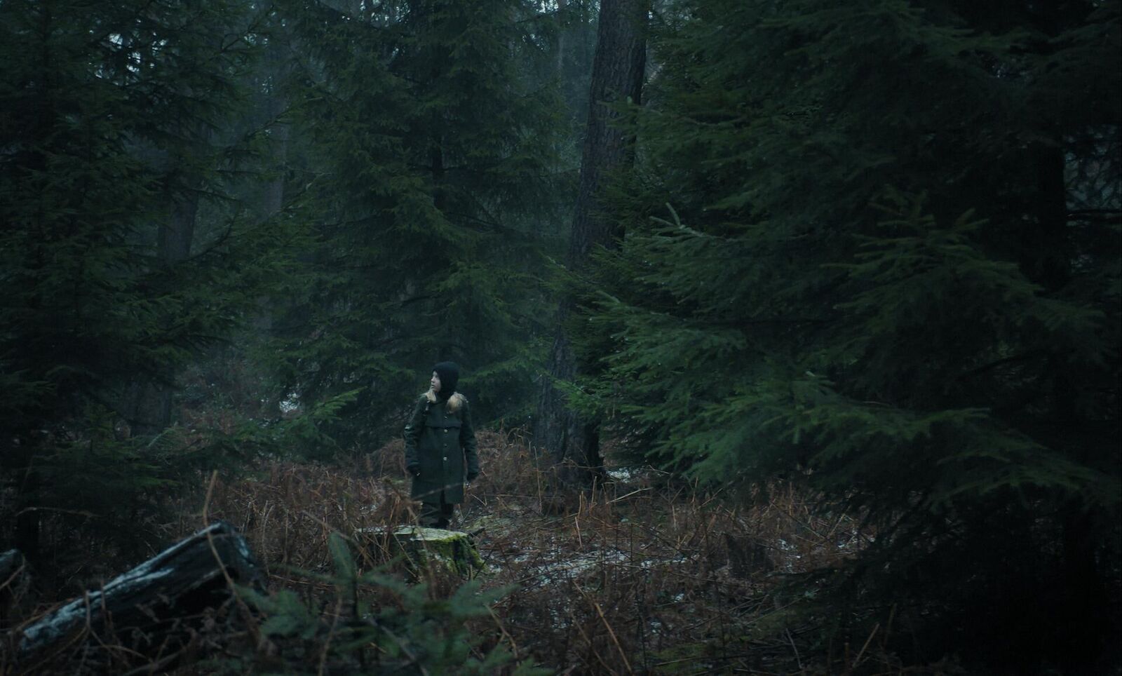 Gallery image of the project M.