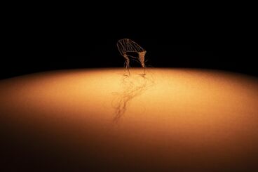 «Dann kommen ja die grünen Vögel nicht mehr wieder, wenn die Kastanien weg sind» Gallery image of the project «Dann kommen ja die grünen Vögel nicht mehr wieder, wenn die Kastanien weg sind»