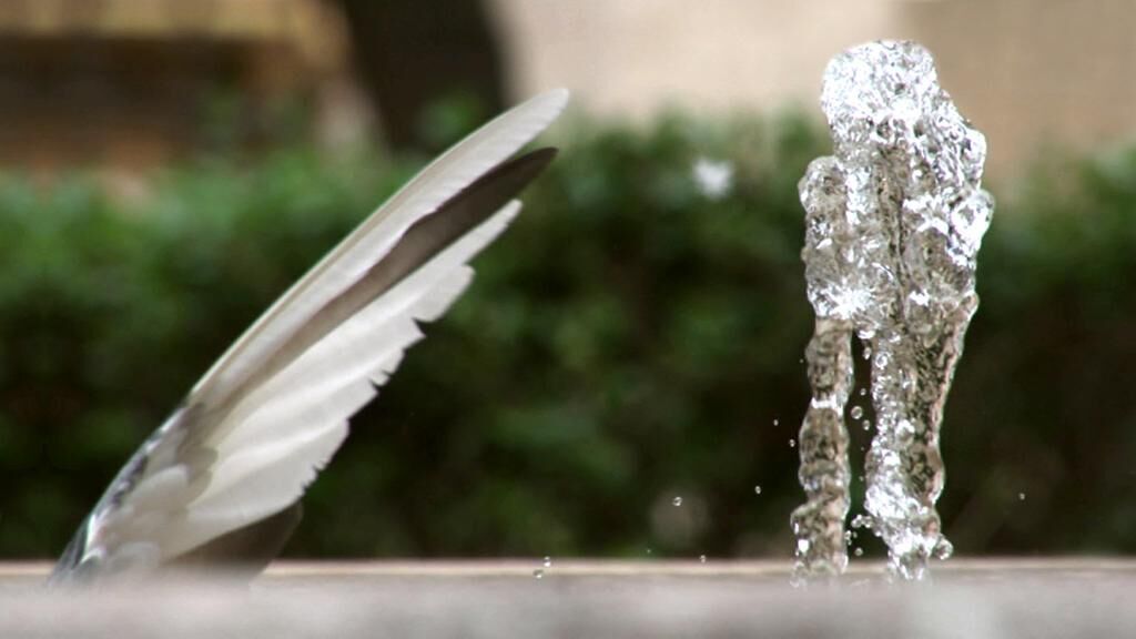 Cover image of the project Palomafuente 