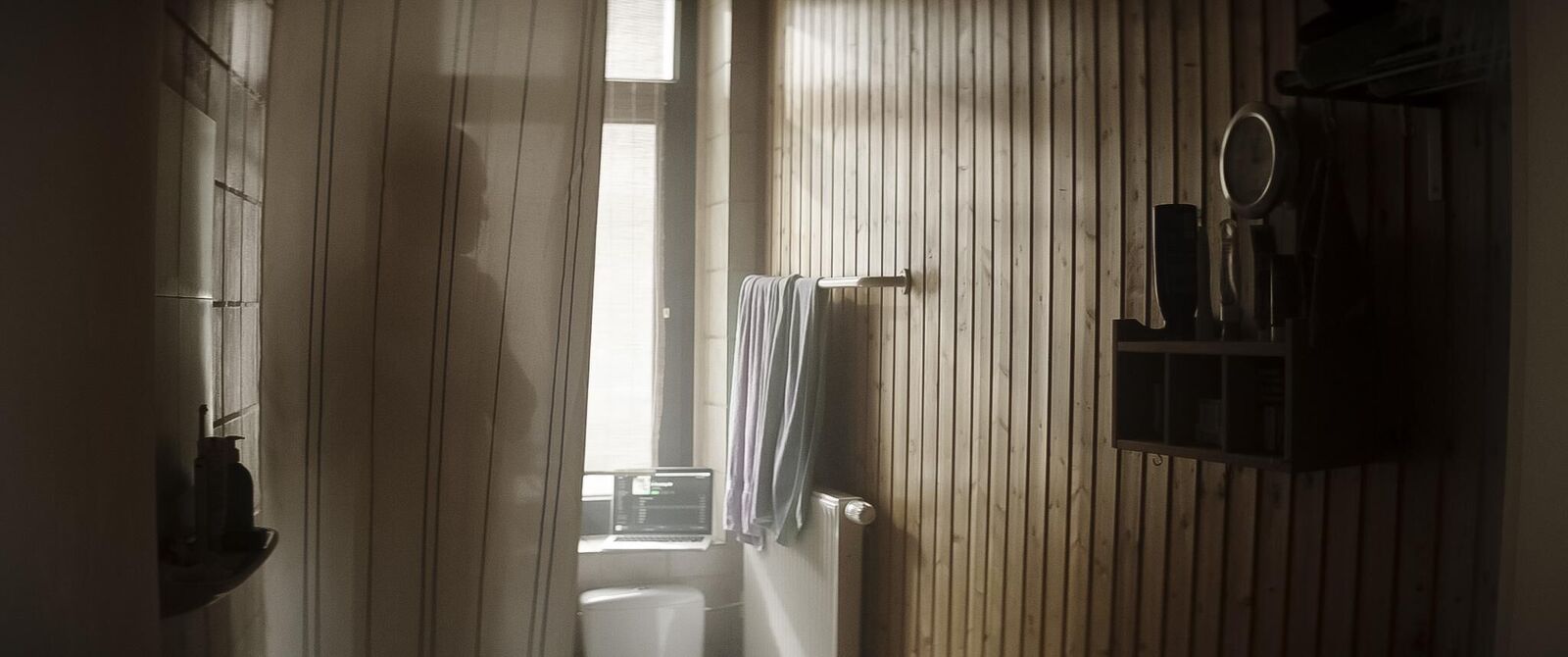 Cover image of the project Trees Under Water