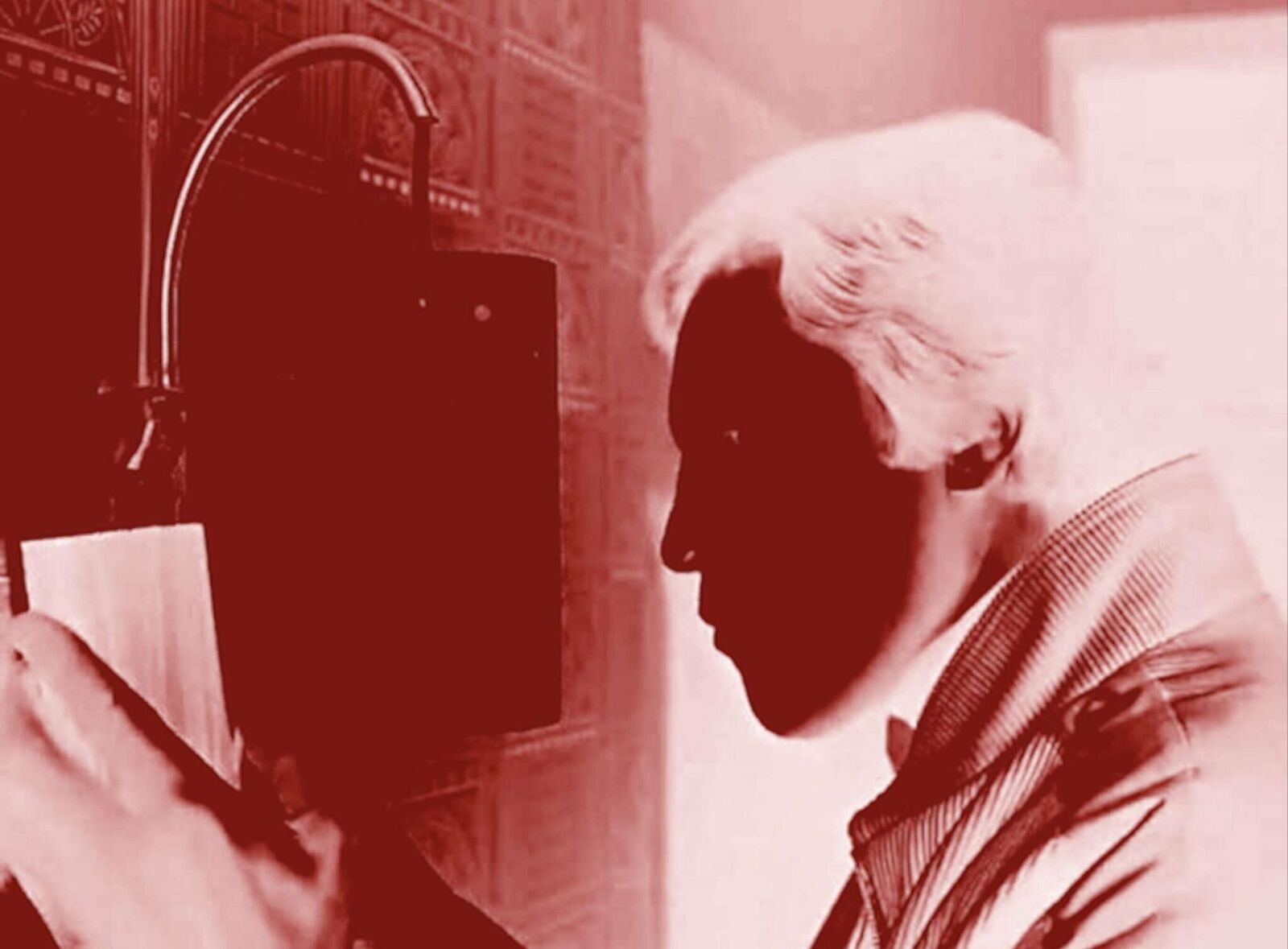 Gallery image of the project Lap Dogs