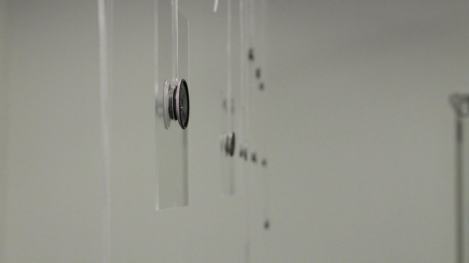 Cover image of the project Applause