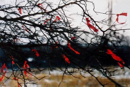 © Irina Kurtishvili