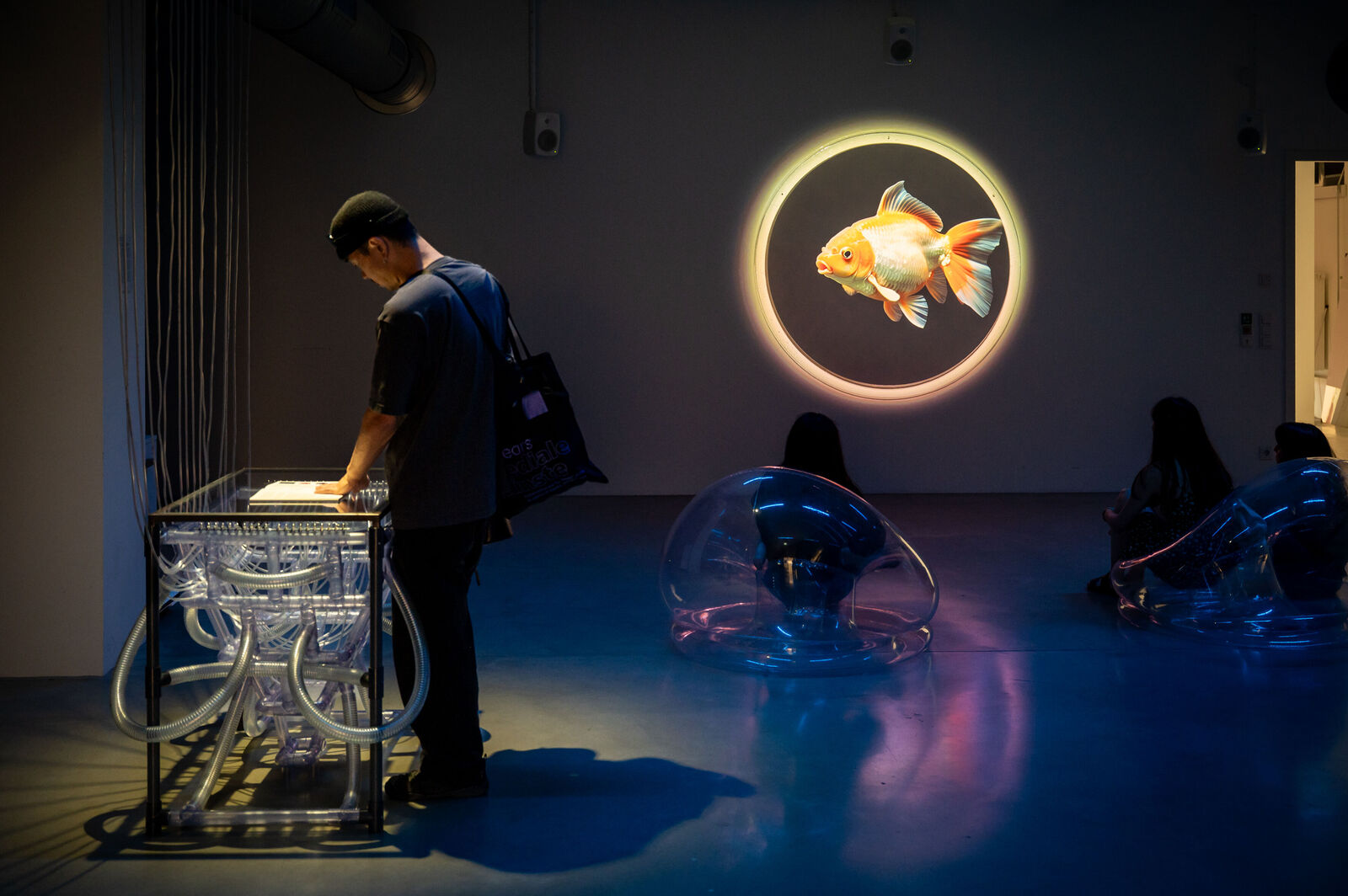 Jiha Jeon – Fixing the Rare (Diplom)