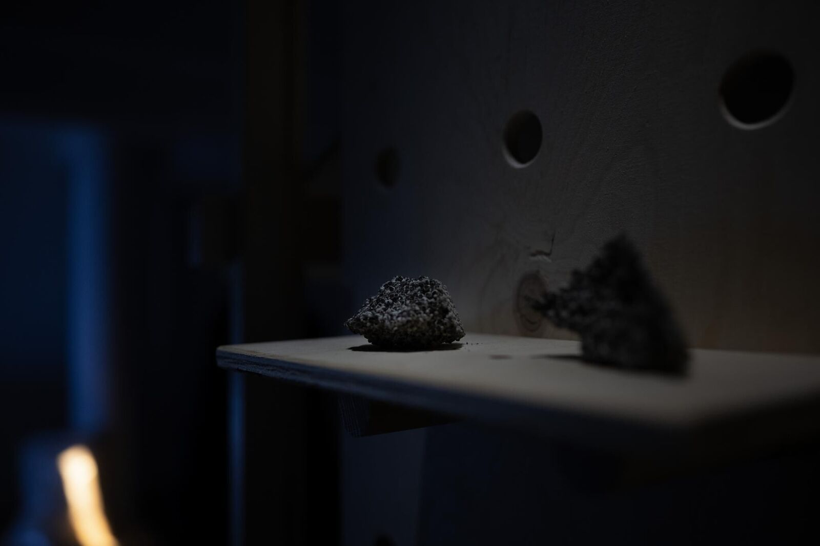 Gallery image of the project Live Stock / Live Animals