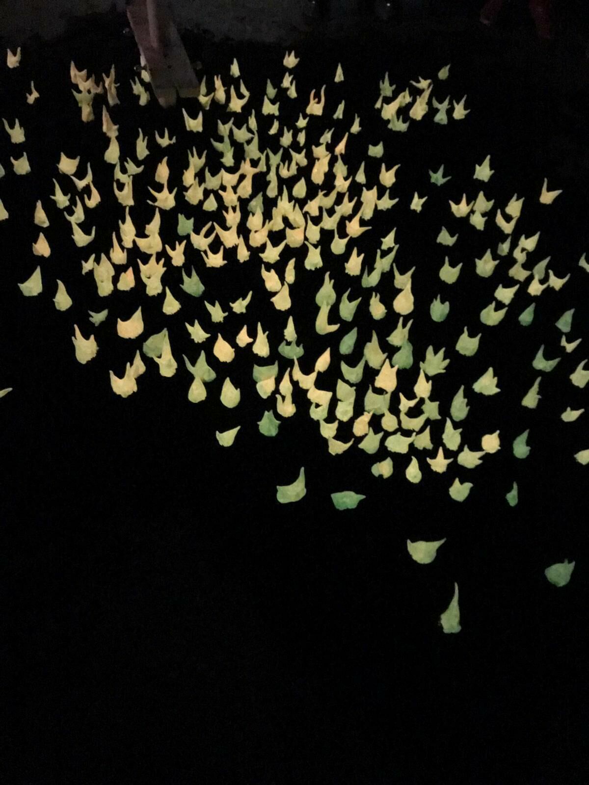 Gallery image of the project Walter Palmer Shot A Lion: The Sequel