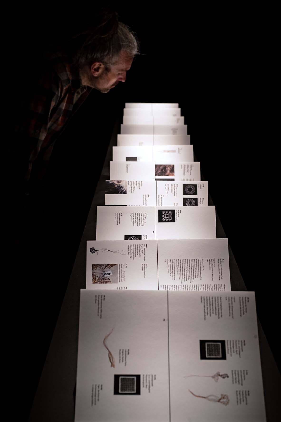 Gallery image of the project «Dann kommen ja die grünen Vögel nicht mehr wieder, wenn die Kastanien weg sind»