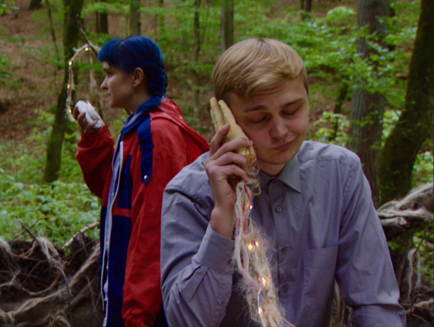 Cover image of the project Der Wolf