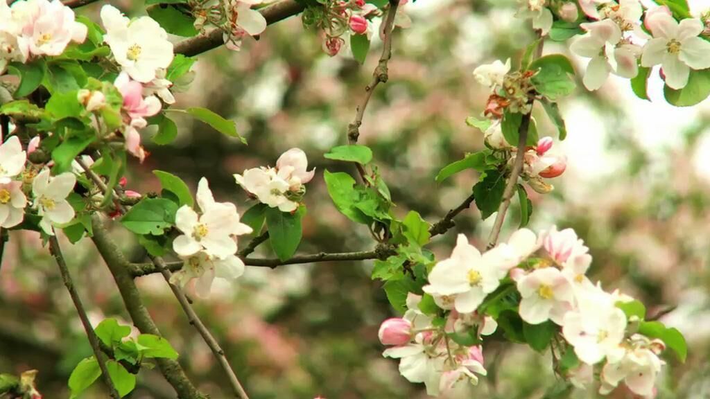 Gallery image of the project Erinnern heißt Vergessen