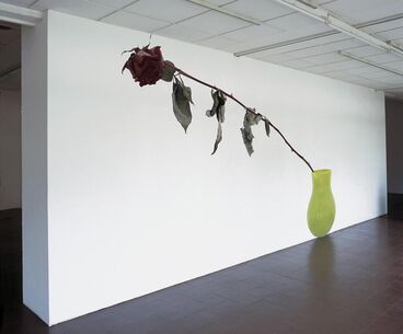 Nature Morte Gallery image of the project Nature Morte