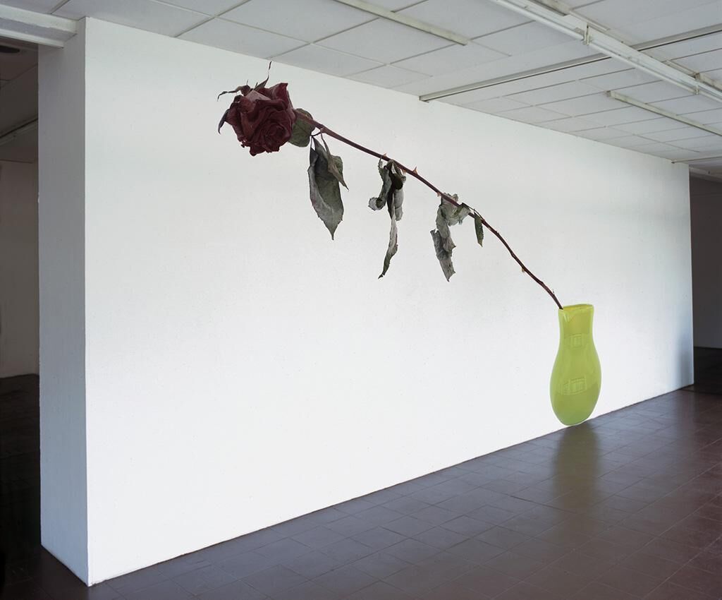 Gallery image of the project Nature Morte