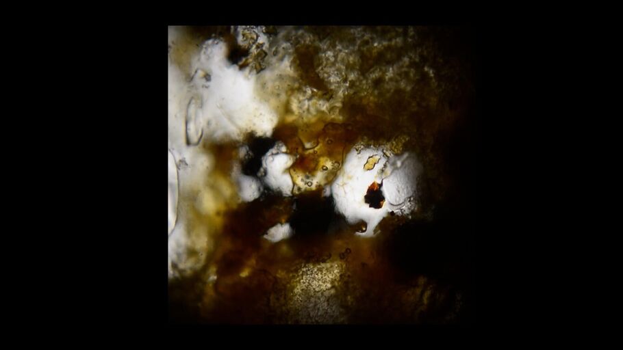 Cover image of the project Der Körperflicker 4