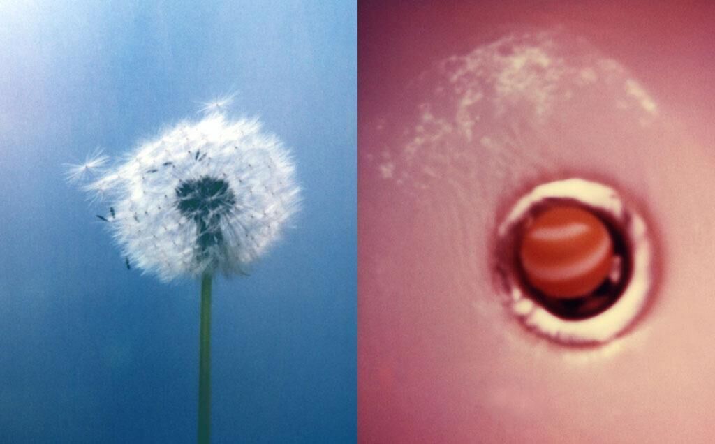 Gallery image of the project Mobile Regelwerke – Irdische Schwerelosigkeit