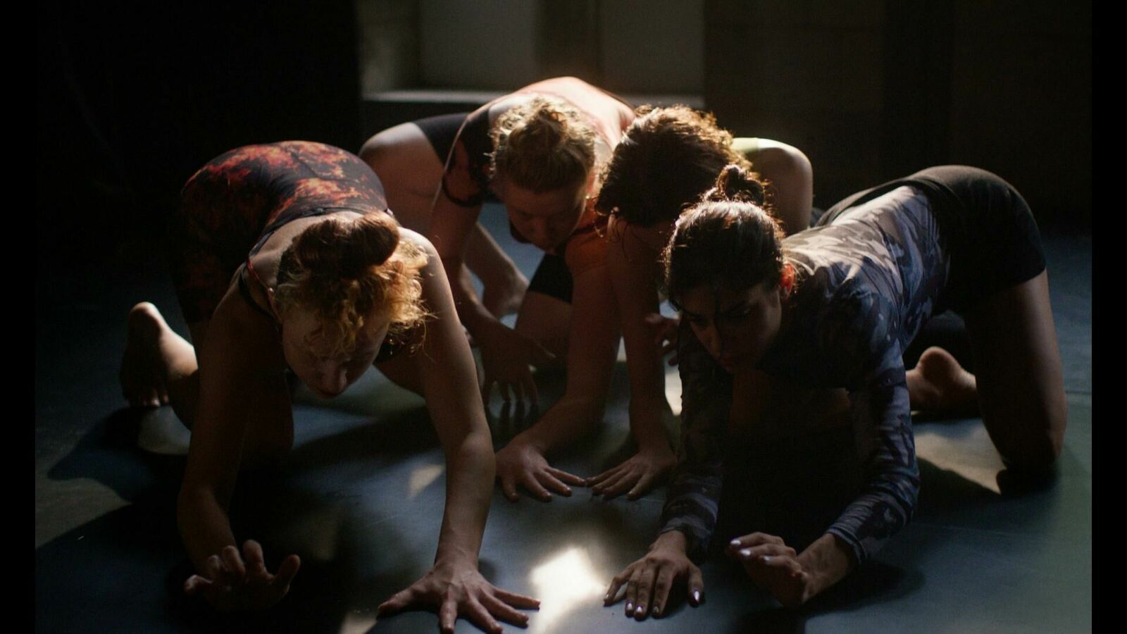 Gallery image of the project Katzenbellen