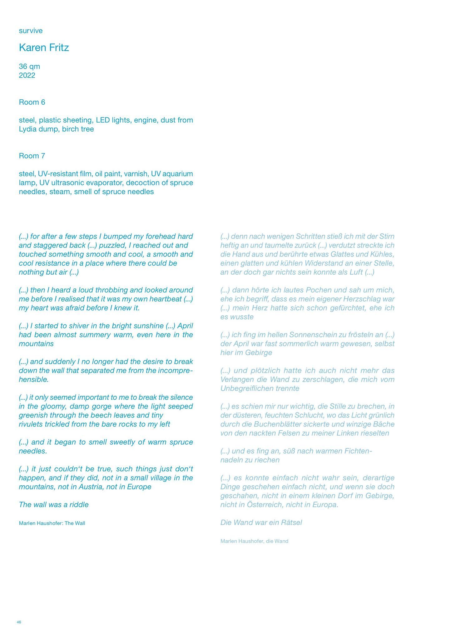 Gallery image of the project FALSE SPRING