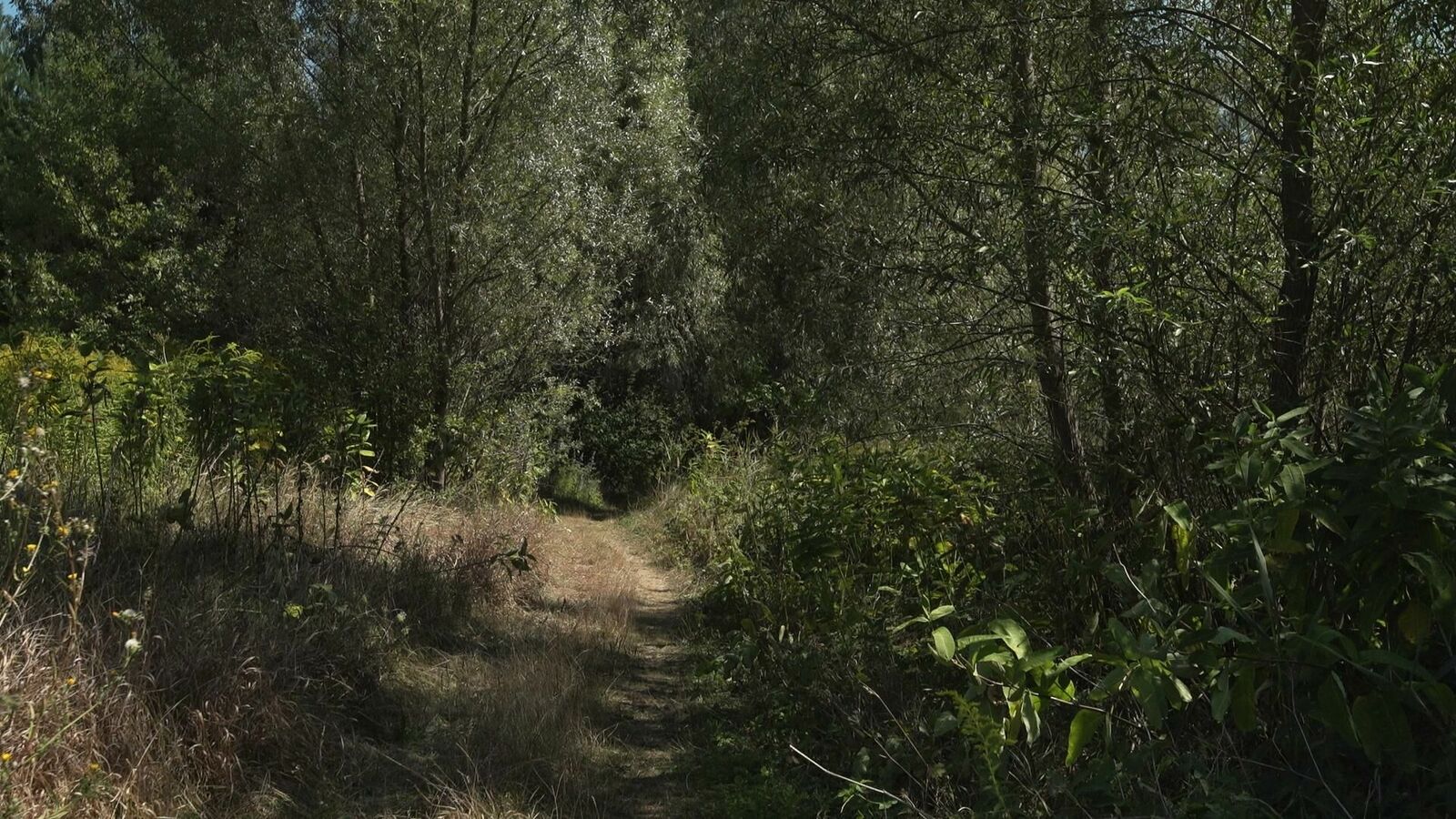 Gallery image of the project nonplace