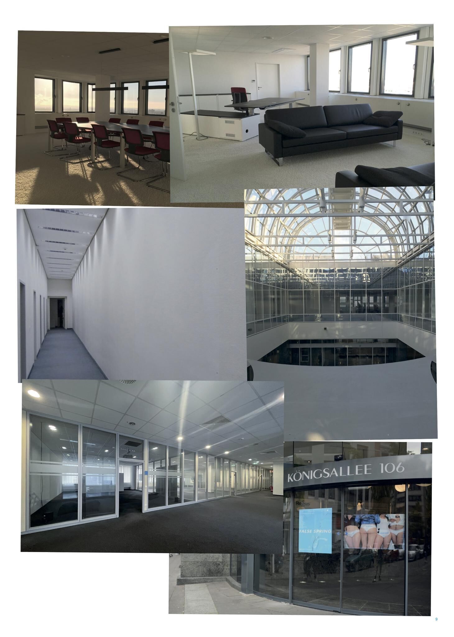 Gallery image of the project FALSE SPRING