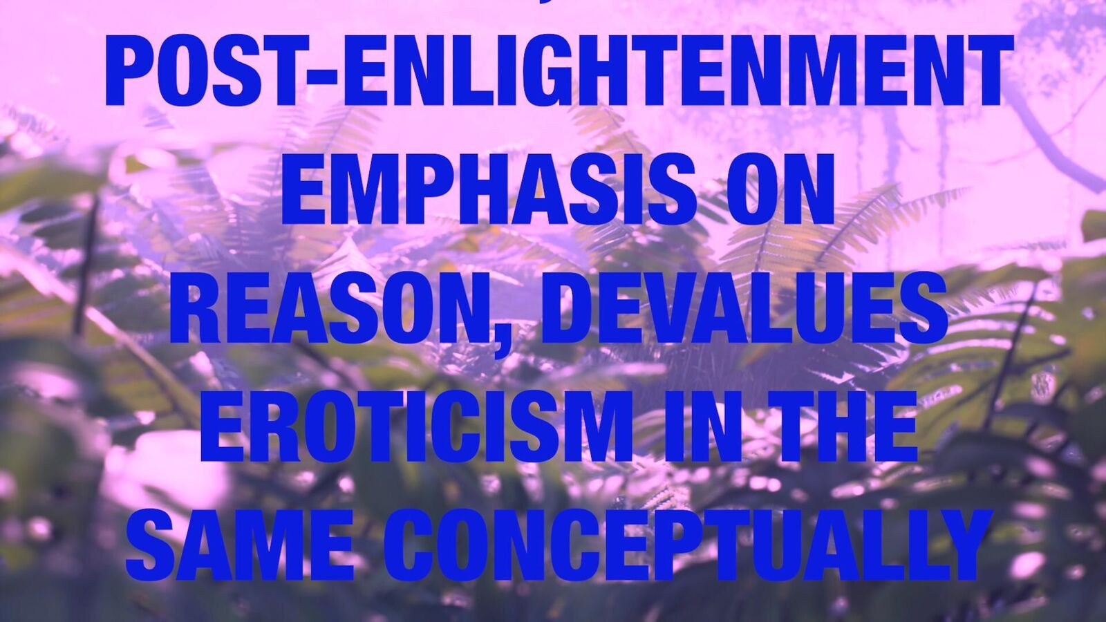 Gallery image of the project SHTV: OUR HOUSE