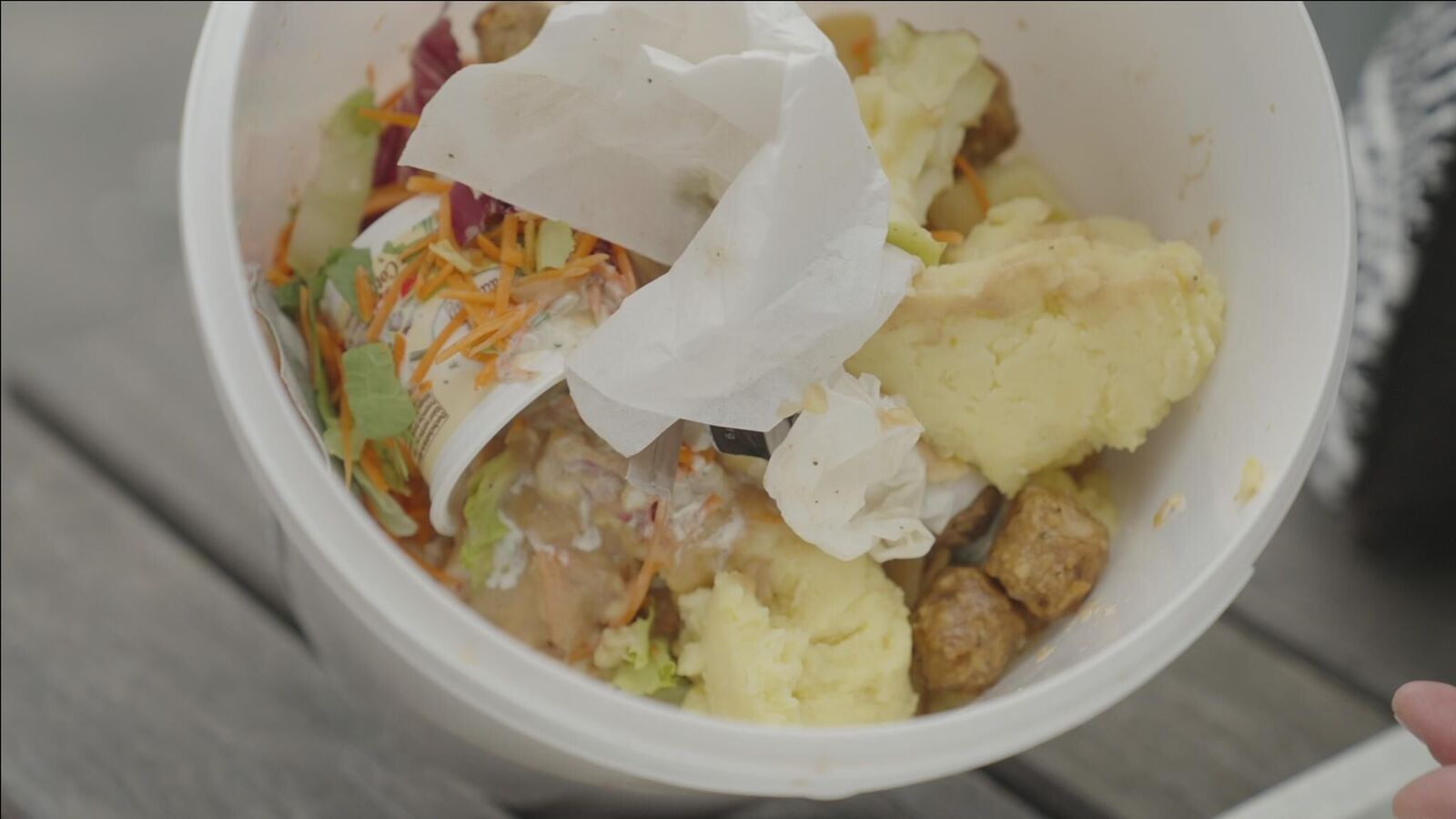 Gallery image of the project report null - Leben unter Zieg*innen