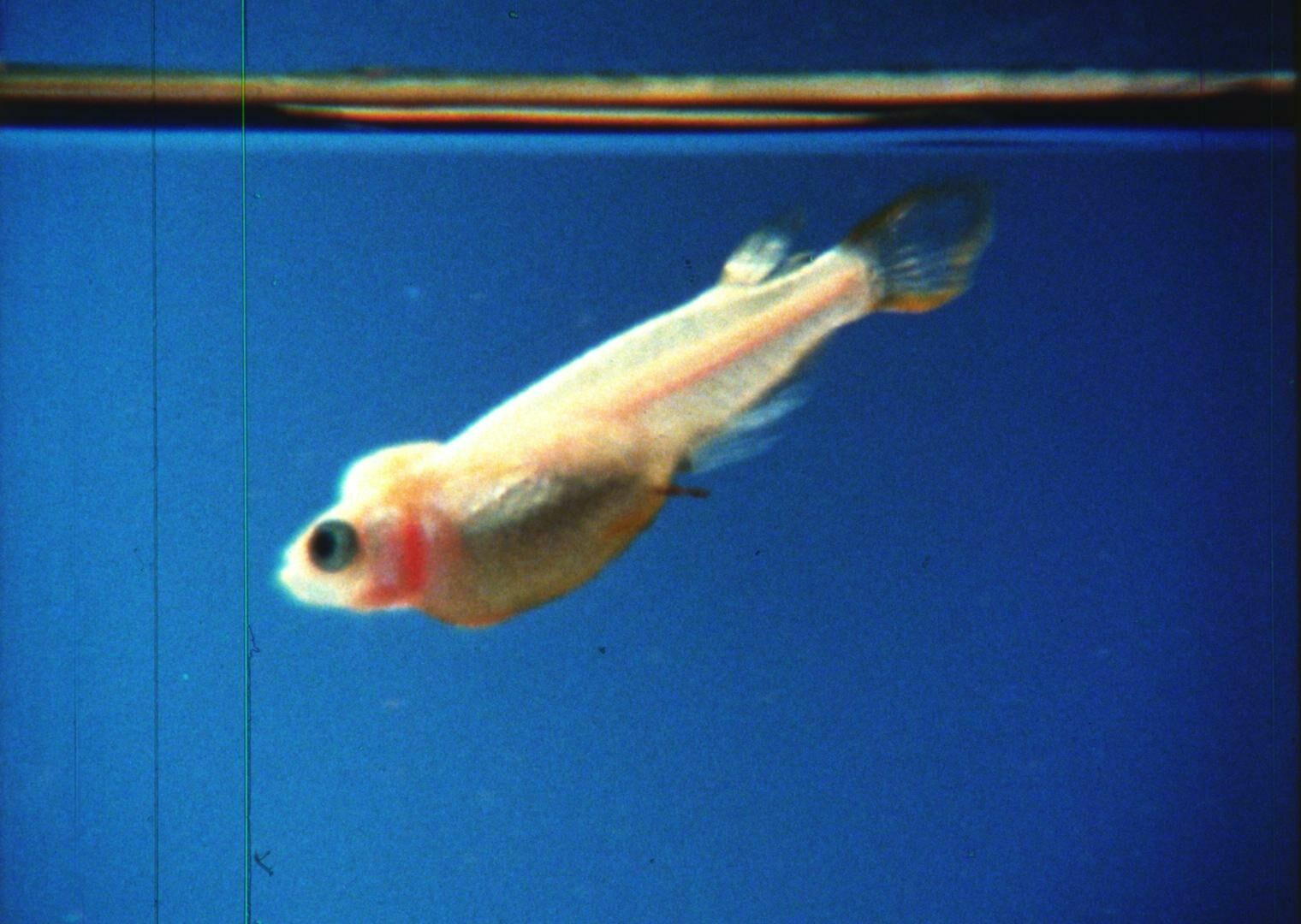 Gallery image of the project I learn, get hurt, accept, strive, fight, love, cry and laugh