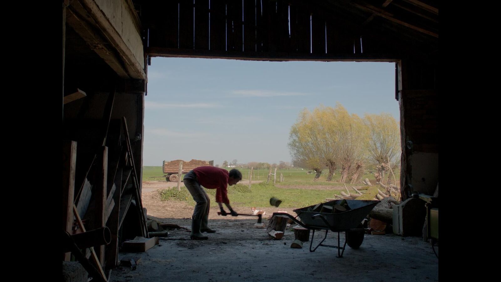 Gallery image of the project Wahn ist eine blinde Kuh